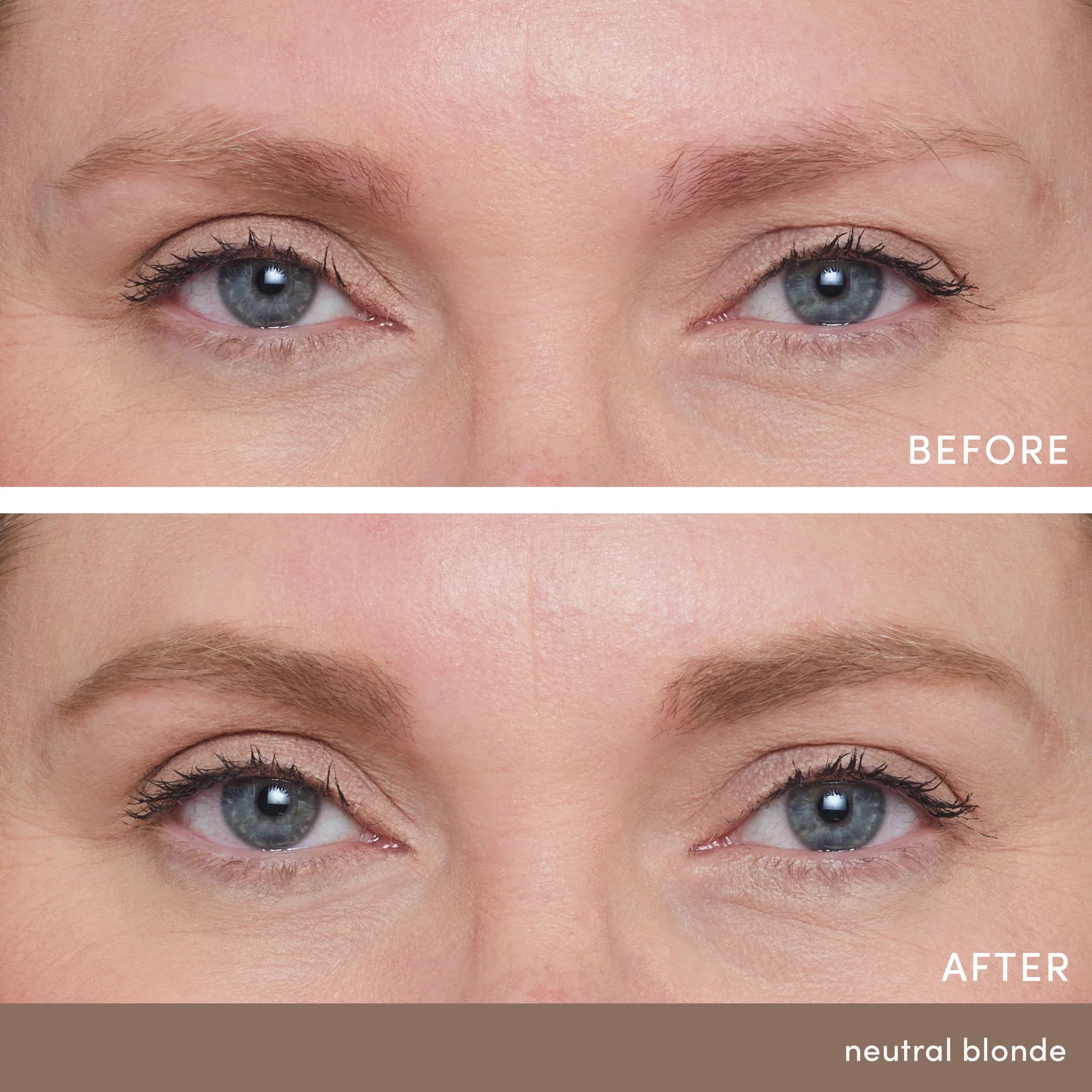 PureBrow® Poudre à Sourcils