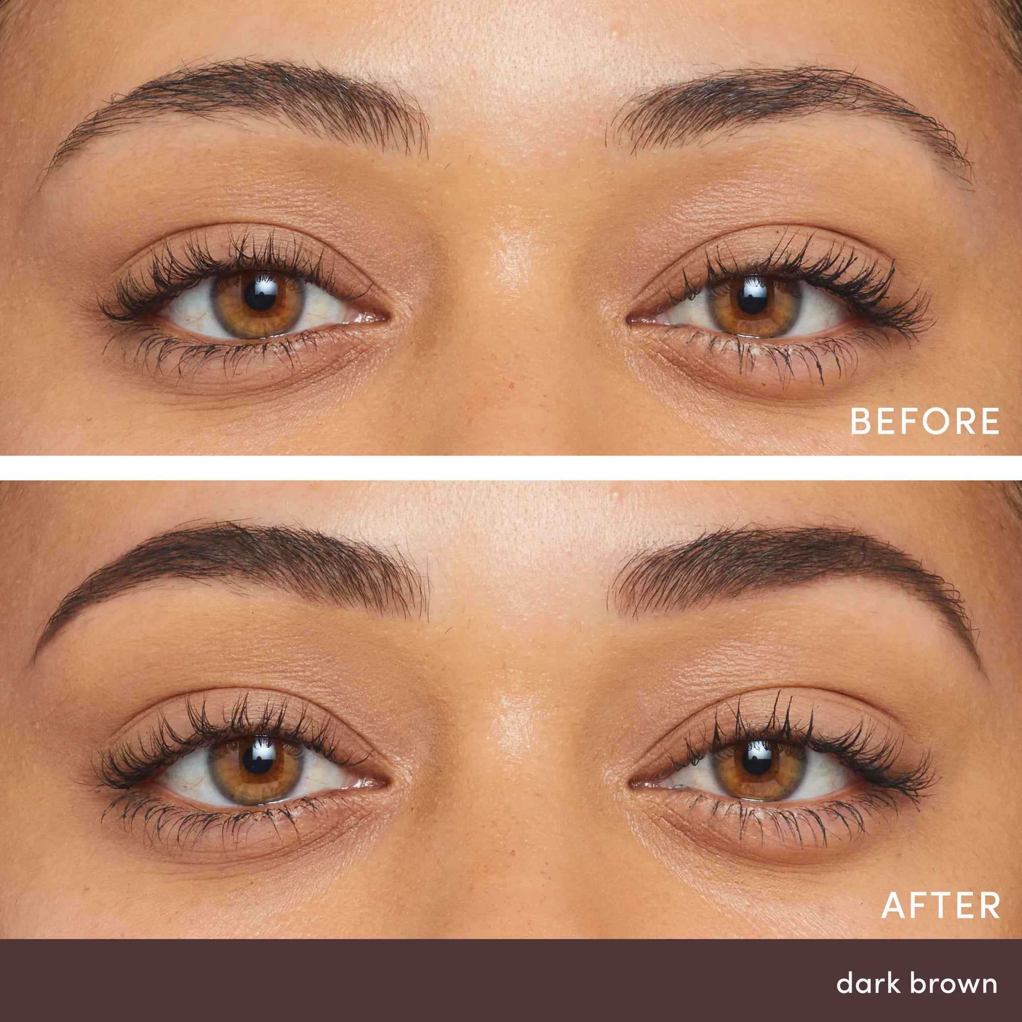 PureBrow® Poudre à Sourcils